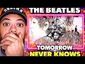 THIS WAS WILD The Beatles Tomorrow Never Knows REACTION FIRST TIME Hearing THIS WAS WILD The Beatles Tomorrow Never Knows REACTION FIRST TIME Hearing
