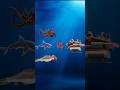 Hungry Shark Evolution Game Play Shark Vs Shanta Submarine 