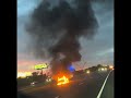     Morning Commute Took a Wild Turn 🚗🔥