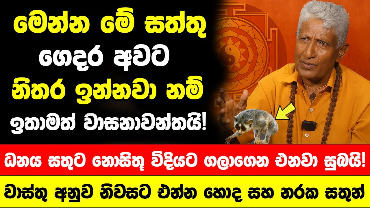 මෙන්න මේ සත්තු ගෙදර අවට ඉන්නවා නම් ඉතාමත් වාසනාවන්තයි! - ධනය සතුට නොසිතූ විදියට ගලාගෙන එනවා සුබයි!