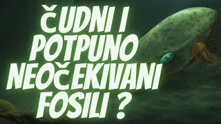 udni I Potpuno Neoekivani Fosili Koji Bi Mogli Da Promene Istoriju Nae Planete