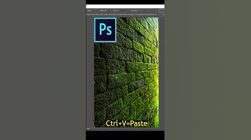Realistic Blend Effect Photoshop#shorts #viralshorts #photoshop