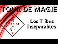 Les tribus insparables  par alexandre gurin ag magie magic  cardtricks closeup