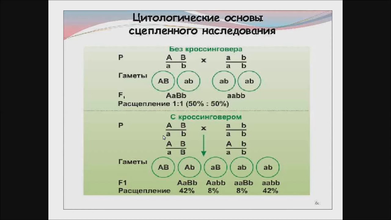 Определите неполное. Определите неполное