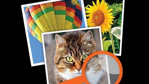 4 Pics 1 Word - Close Up Level 6 Answers