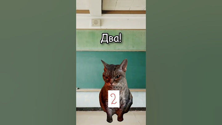 Типичный класс😂🤣 #школа #shorts #tiktok #youtube #котики #футажи #хочуврек