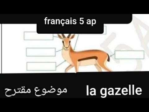 فرنسية خامسة ابتدائي موضوع مهم و مقترح للفصل الأول  