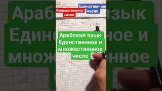 Уроки арабского языка #арабскийязык Единственное и множественное число
