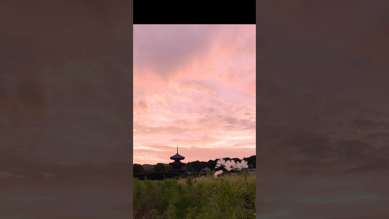 JITTERIN' JINN 『JINGLE BELLY』 稀少】ジッタリンジンの幻のアルバム『JINGLE BELLY』をレビュー