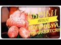 БЫЧЬИ ЯЙЦА! ПРИГОТОВЬ НЕ ПОЖАЛЕЕШЬ!!