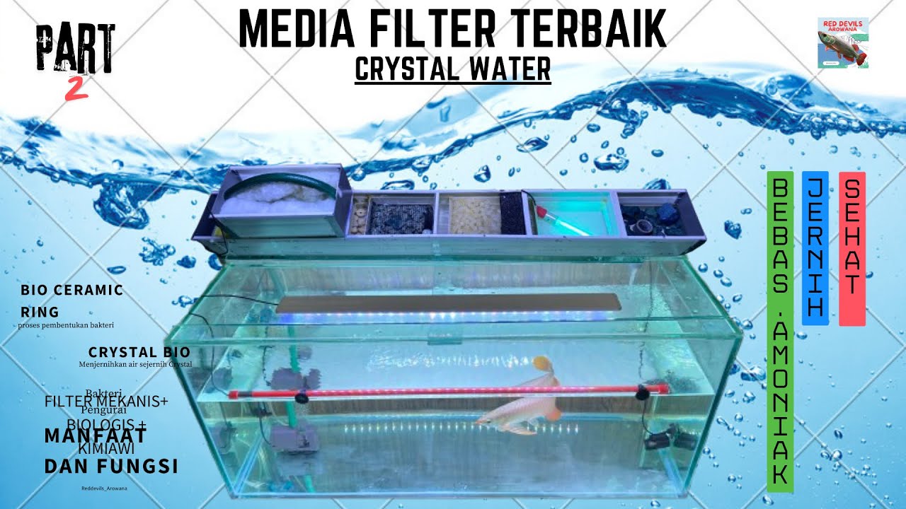 Susunan Media Filter Terbaik Terjernih Crystal💎 Clear Water💧untuk Aquarium Arwarna dan ikan Predator
