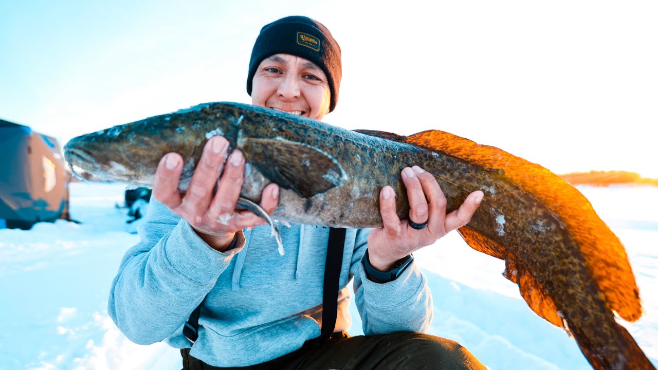 Lake Trout & Burbot, ice fishing 3 separate days