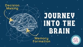 Journey Into the Brain: Exploring How Learning Happens