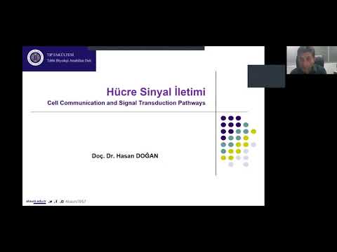 Video: Bir sinyal iletim yolunun adımları nelerdir?