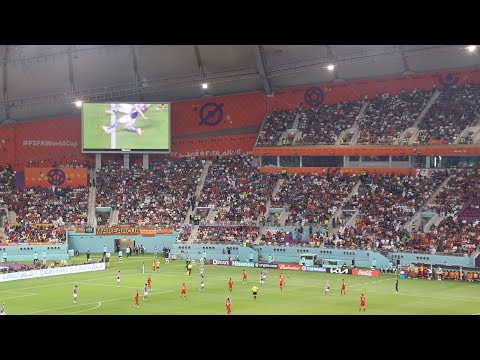 現地観戦】 三笘の1ミリ！！VARで日本逆転 | 日本 vs スペイン