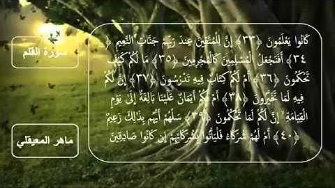 سورة القلم كاملة مكتوبه استماع وتتبع بصوت الشيخ ماهر المعيقلي   خلفيه متحركه