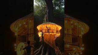 “Building a Luxury Bamboo Tree House on a Giant Tree