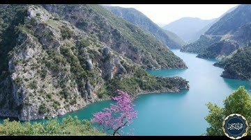 اسلام صبحي | سورة هود 29 - 45