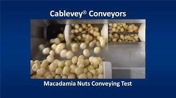 Cablevey® Conveyors - Macadamia Nuts Conveying Test
