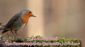 73-Al-Muzzammil-The-One-wrapped-in-Garments-سورة-المزمل