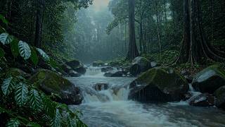 Fall Asleep with Gentle Rain on a Forest River Sounds | ASMR Flowing Stream Sound for Deep Sleeping