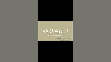سورة الرعد الآية ٢٨ بصوت القارئ عبدالرحمن مسعد ، آية لكي يطمئن قلبك ، كن ذَاكِرًا للّٰه دائمًا