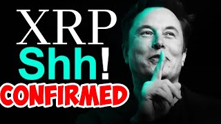 Ripple XRP IM SHAKING ELON MUSK GRIMES LITERALLY JUST TOLD YOU WHAT MR POOL DID YEARS AGO OMG!!!
