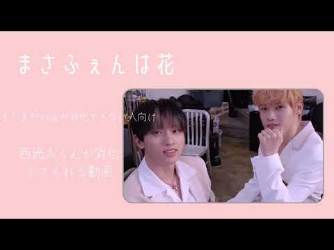 まさふぇんは花　その２　INI Vlog  木村柾哉&許豊凡＋西洸人