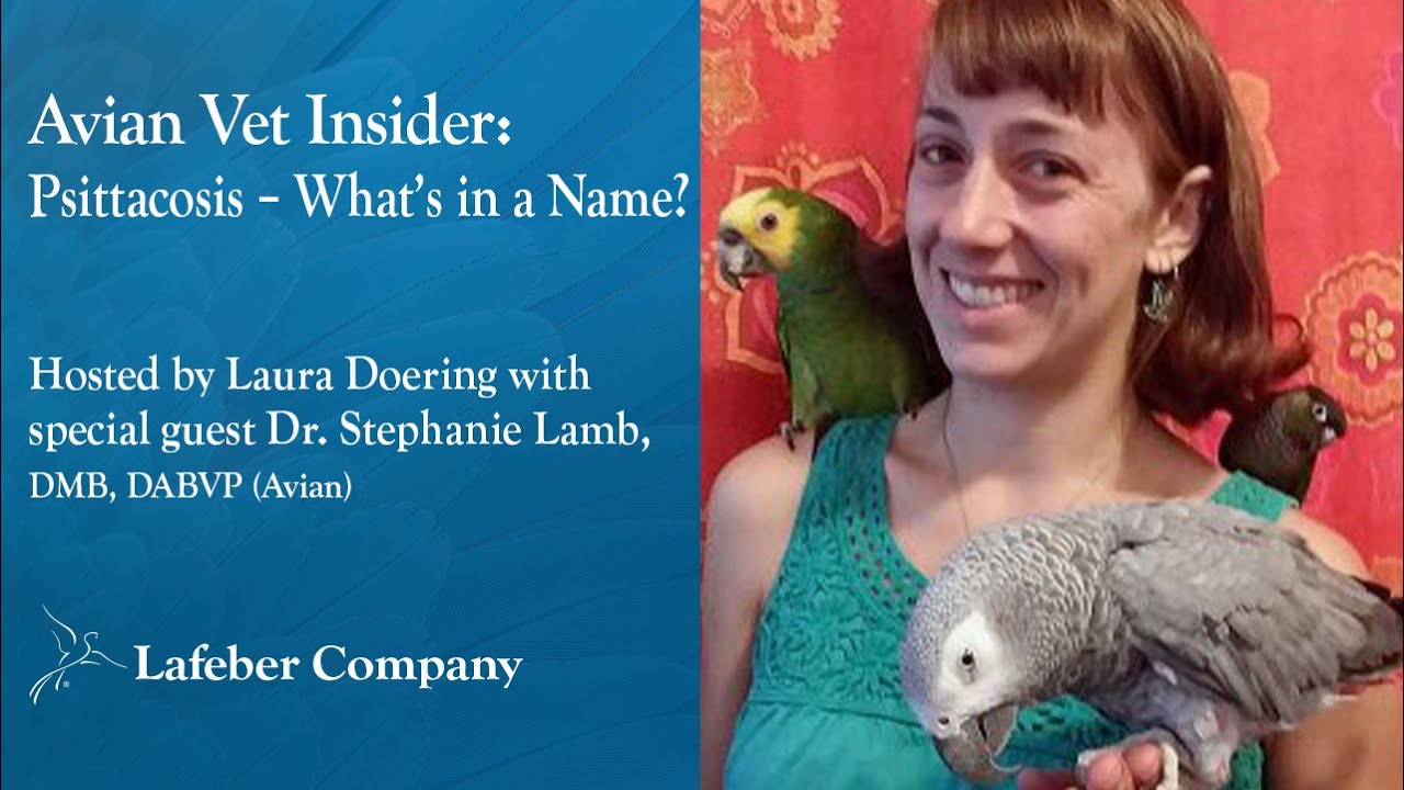 How to Prevent Psittacosis in Birds: Essential Tips for Safety