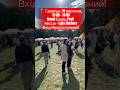 Gremi Борщ Fest в Гданську #сергійпех #гданськ