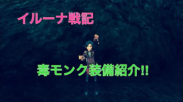 イルーナ モンク ステ振り イルーナ モンク ステ振り