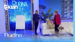 Rudina - Njihuni me Tobin, qenushin që "di" të mbledhë dhe të numërojë
