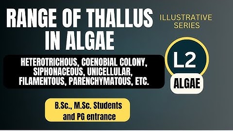 Range of Thallus in Algae | Types of Thallus Organisation in Algae with Examples | BSc Botany 