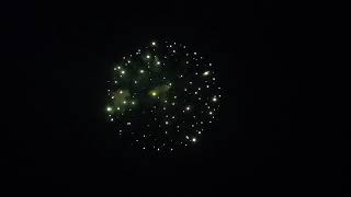 FIVE INCH SHELL - PURPLE TO GREEN STROBE EFFECT