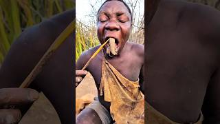 Cooking in the Wild – Authentic African Bush Food Experience.#shorts #africa #wildlife