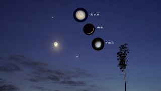 Jupiter, Venus and Moon Conjunction - February 22, 2023. Zooming in on it with Nikon P1000 camera! by Mr SuperMole 326,081 views 1 year ago 2 minutes, 17 seconds