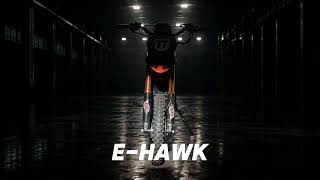 X-PRO E-HAWK 3500W Electric Dirt Bike | 42+ MPH Off-Road Ride for Teens & Adults