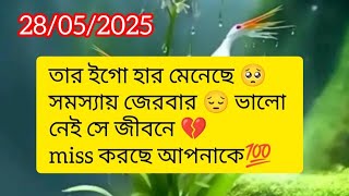 তার ইগো হার মেনেছে current feelings energy nocontact reunion soulmate twinflame karmic #twinflame