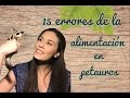 Alimentación para petauros: 15 cosas que no debes hacer. Sugar glider