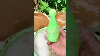 kalau Kau Sukashorts funny funnycutebaby