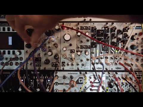 Enter the MANGROVE [ MODULAR SYNTHESIZER ]