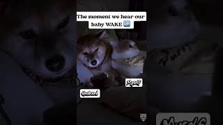 #parentinghacks #funnyreel #parentingskills #babyanddog #yourubeshorts Do you parents relate?? 🤣