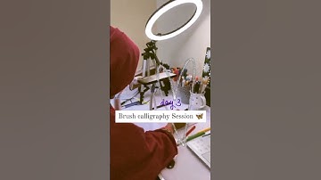 Calligraphy workshop BTS video 🦋✨#calligraphy#workshop#colourfulchaos#brushlettering#learn#artist