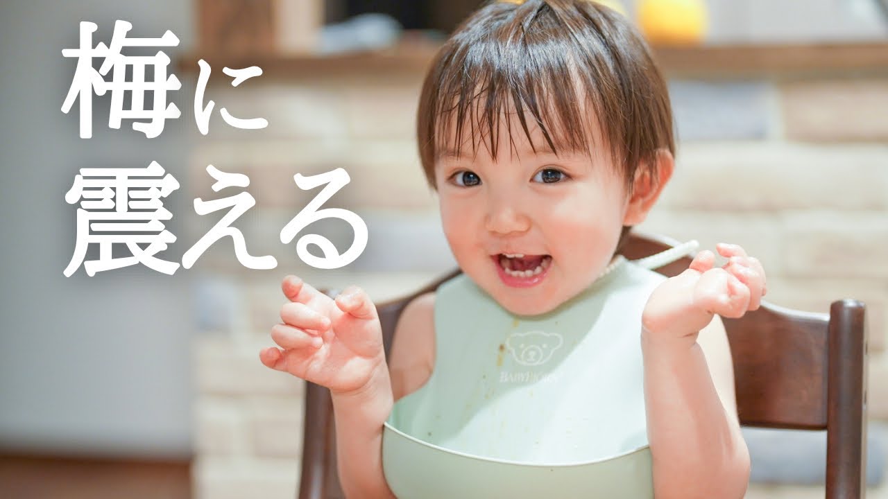 【幼児食】梅に震える１歳児に爆笑！型抜きにんじんが嬉しくておかわり祭り！