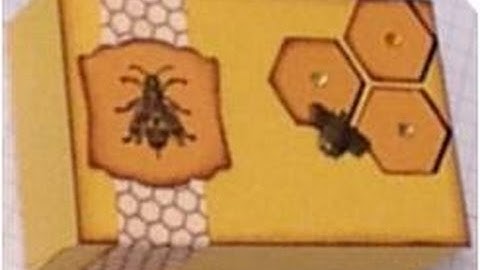 Making custom soap boxes