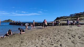 (4k) Summer neighbourhood walk to Island Bay Beach | February 2023 Waitangi Day | Wellington, NZ.