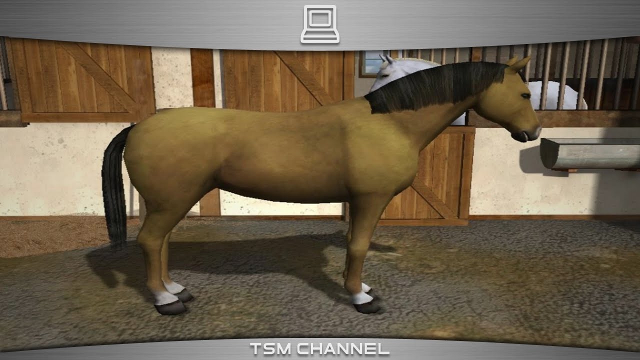 Let's Ride! Riding Star / Riding Star 3 (part 28) (Horse Game) - YouTube