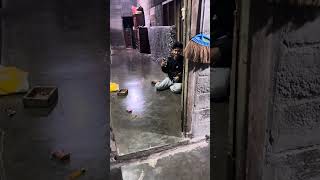 Tidur di kampung halaman