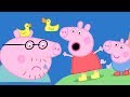 Peppa Pig Full Episodes | The Biggest Muddy Puddle In The World | Cartoons for Children