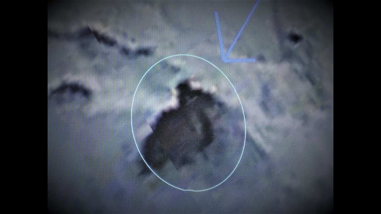 ACTUAL LIVING GIANT CARNIVORE BIRD CAUGHT STALKING HIGH IN THE MOUNTAINS NEAR ANTARCTICA!HUGE FIND!! ACTUAL LIVING GIANT CARNIVORE BIRD CAUGHT STALKING HIGH IN THE MOUNTAINS NEAR ANTARCTICA!HUGE FIND!!